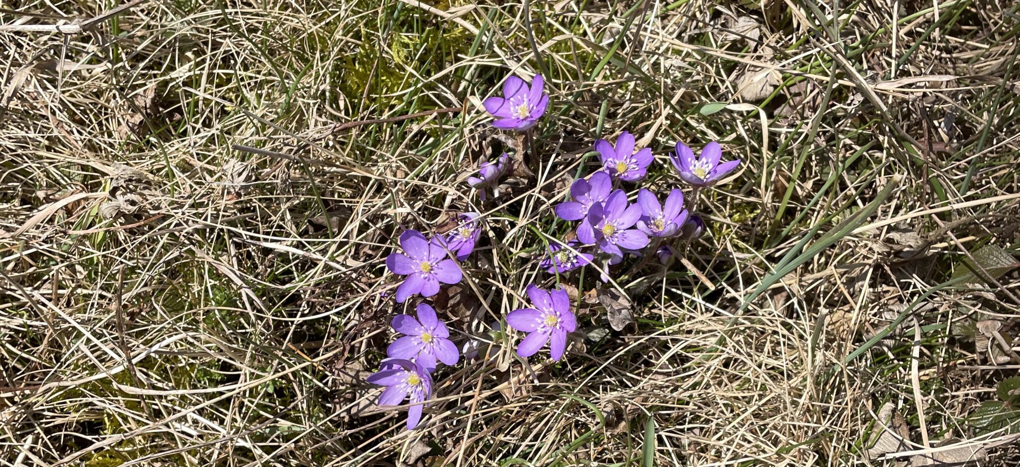 Blogg April 2023 – annasellberg.se